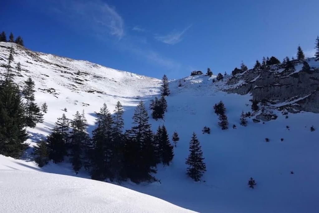 Nice And Cosy Flat Near Geneva Or Annecy Bellegarde-sur-Valserine Ngoại thất bức ảnh