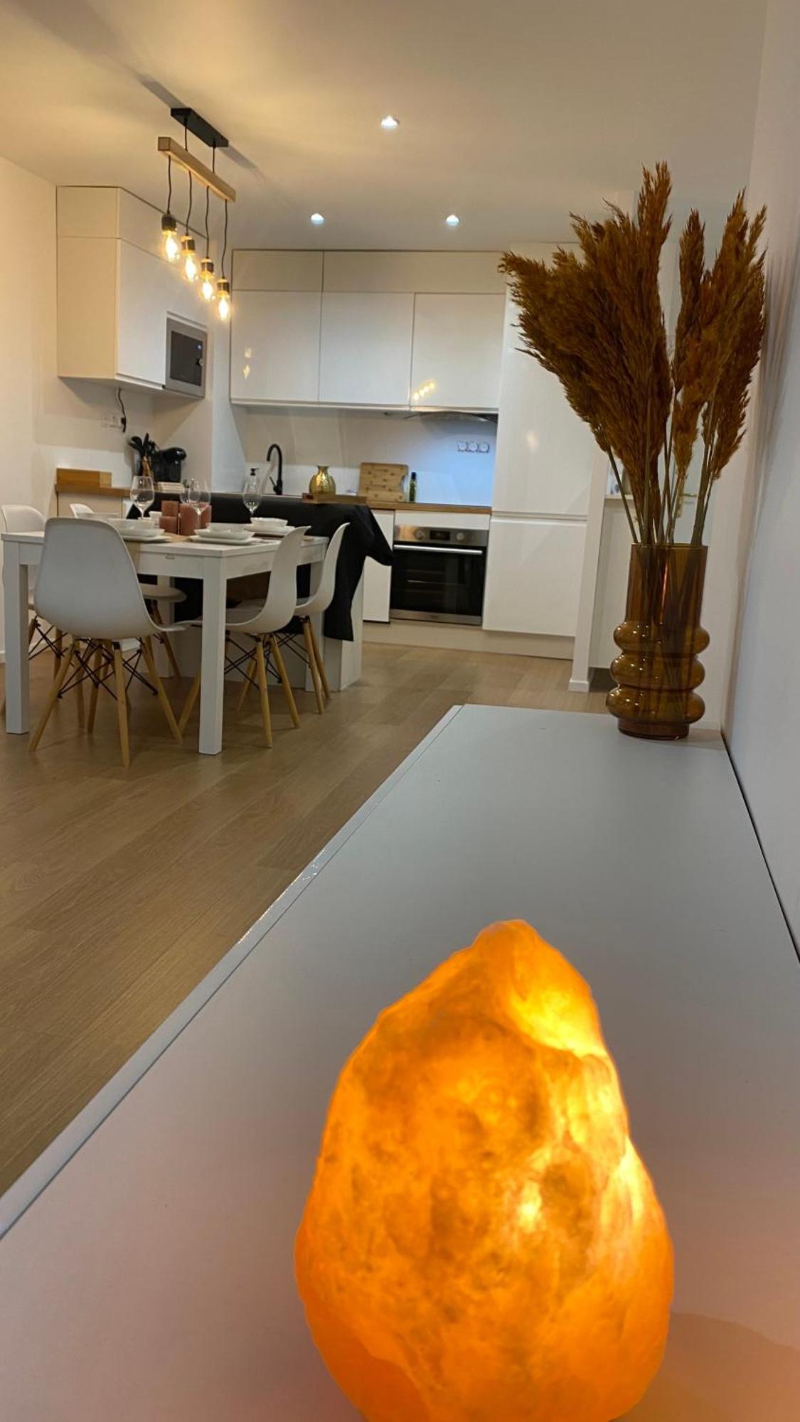 Nice And Cosy Flat Near Geneva Or Annecy Bellegarde-sur-Valserine Ngoại thất bức ảnh